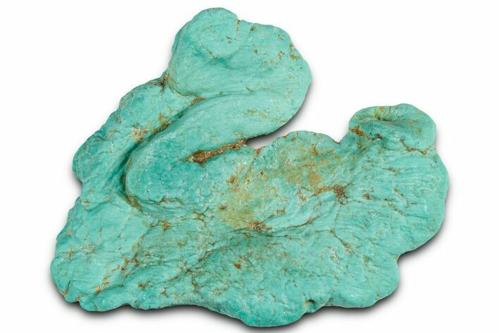 Teal Blue Chilean Turquoise Nugget ( grams) #325529